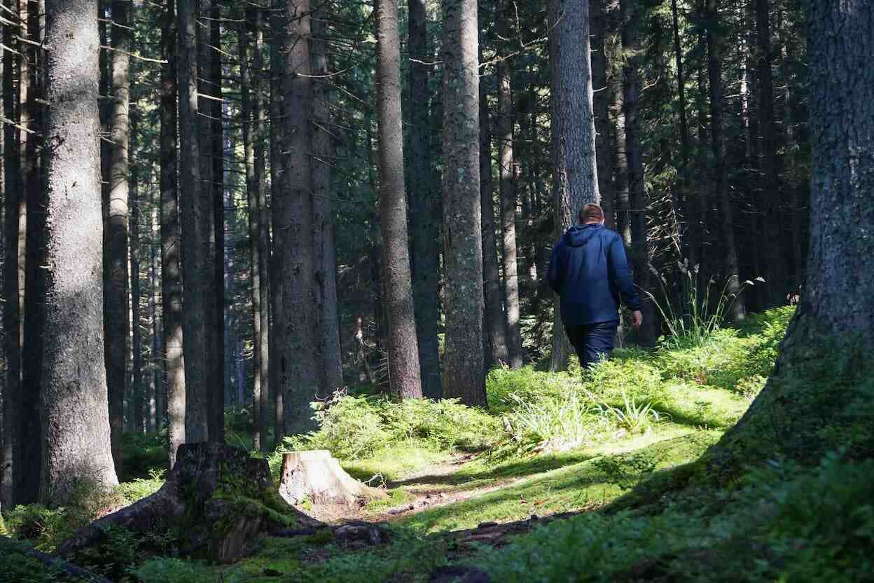 człowiek w lesie