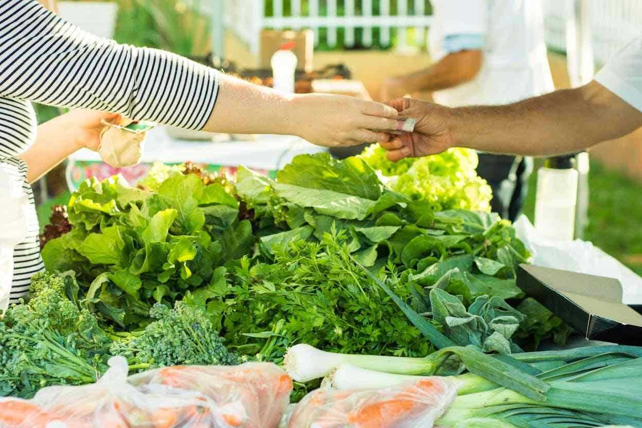 Comerț, salată, mâini