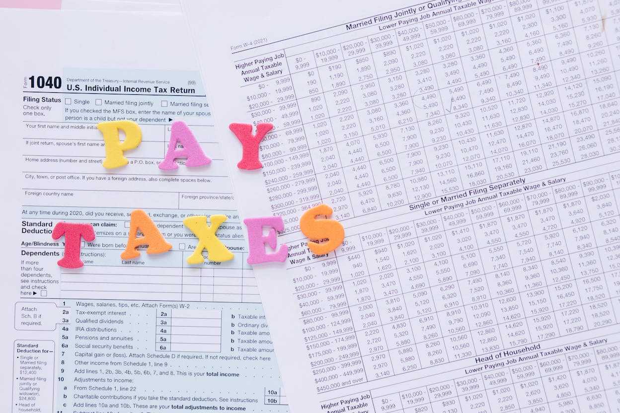 pay taxes