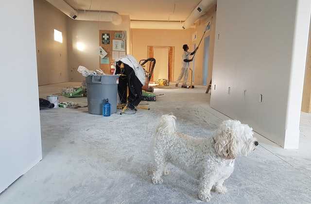 The owner of the apartment got a loan for renovation of home and is now engaged in construction work in his apartment